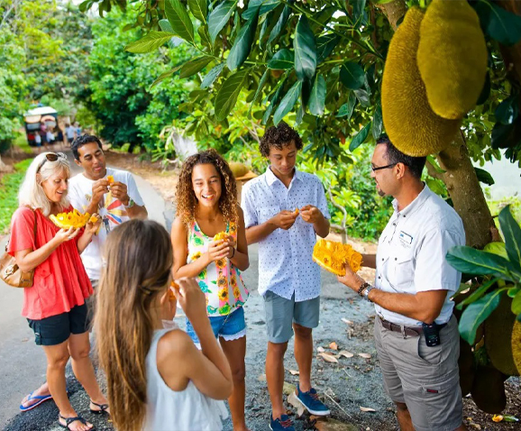 tropical fruit